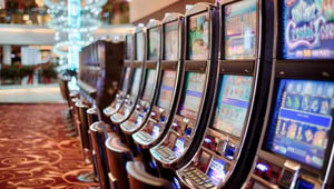 Types of Slots on Top Dog